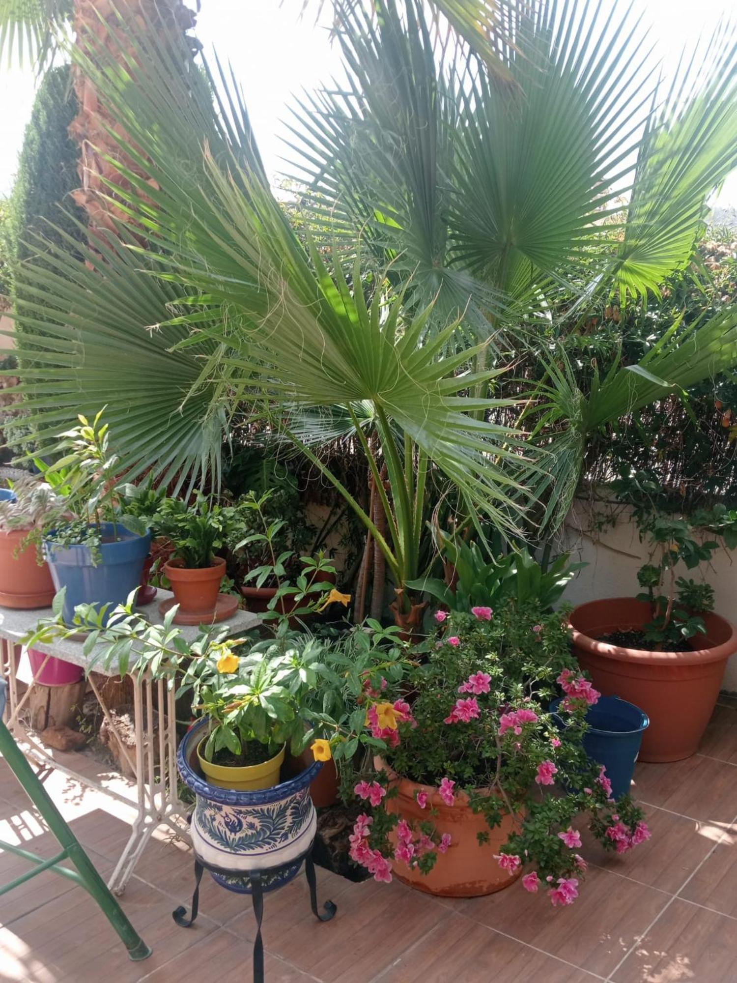 סנס דה לה וגה La Cabana Nevada מראה חיצוני תמונה